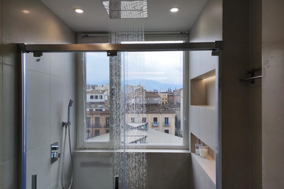 Shower, Bathroom, View (from property/room), City view, Mountain view