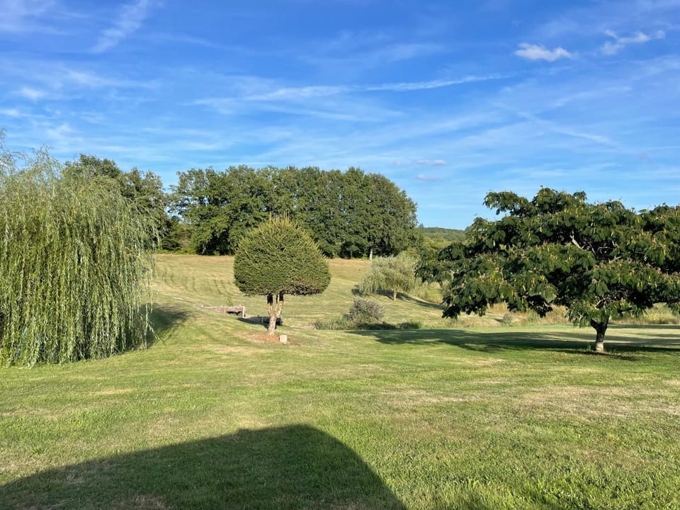 Garden view