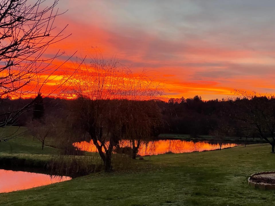 Lake view, Sunset