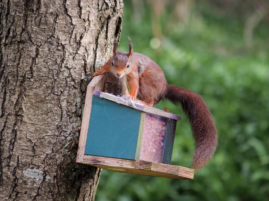 Pirnmill Home with a view Apartment in England