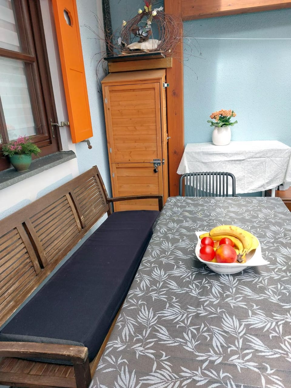 Miabella House - 2 bedrooms and terrace House in Slovenia