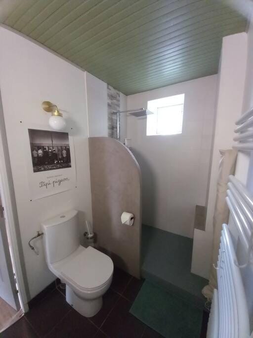 Shower, Toilet