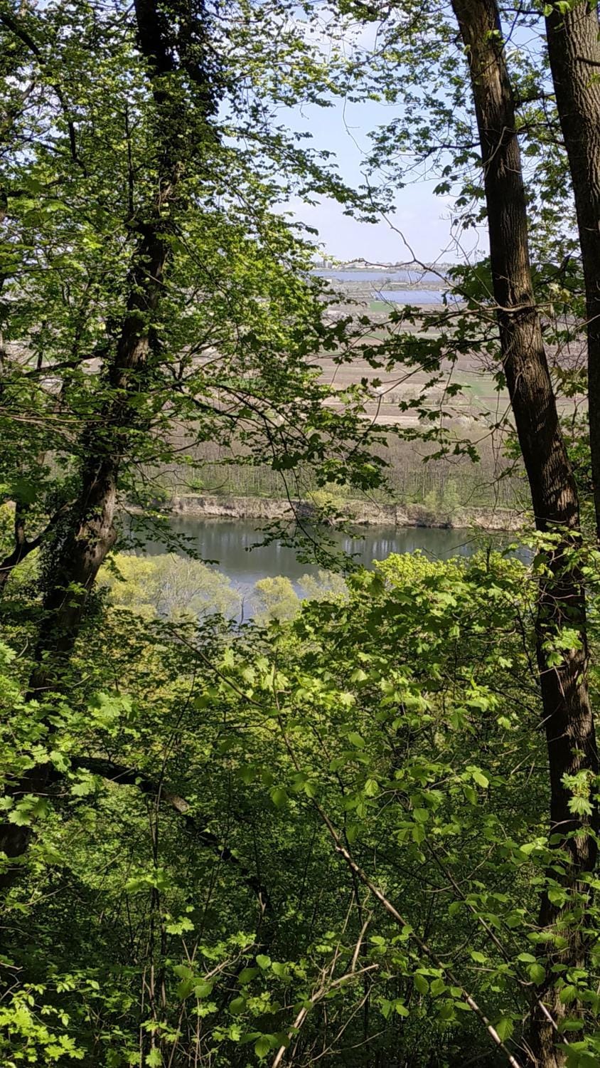 La Badea Mircea Nature lodge in Odessa Oblast