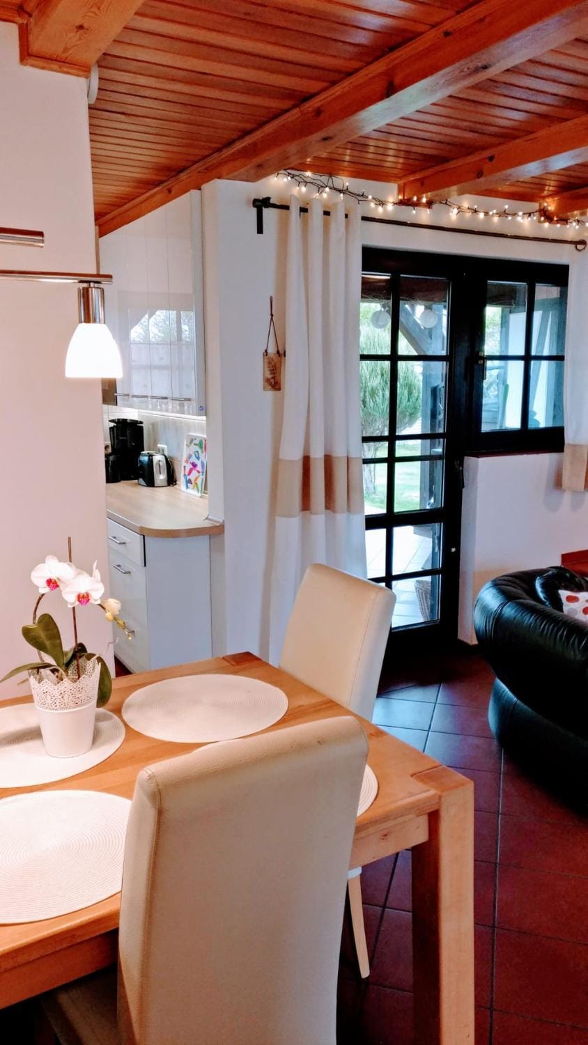 Kitchen or kitchenette, Living room, Photo of the whole room, Dining area
