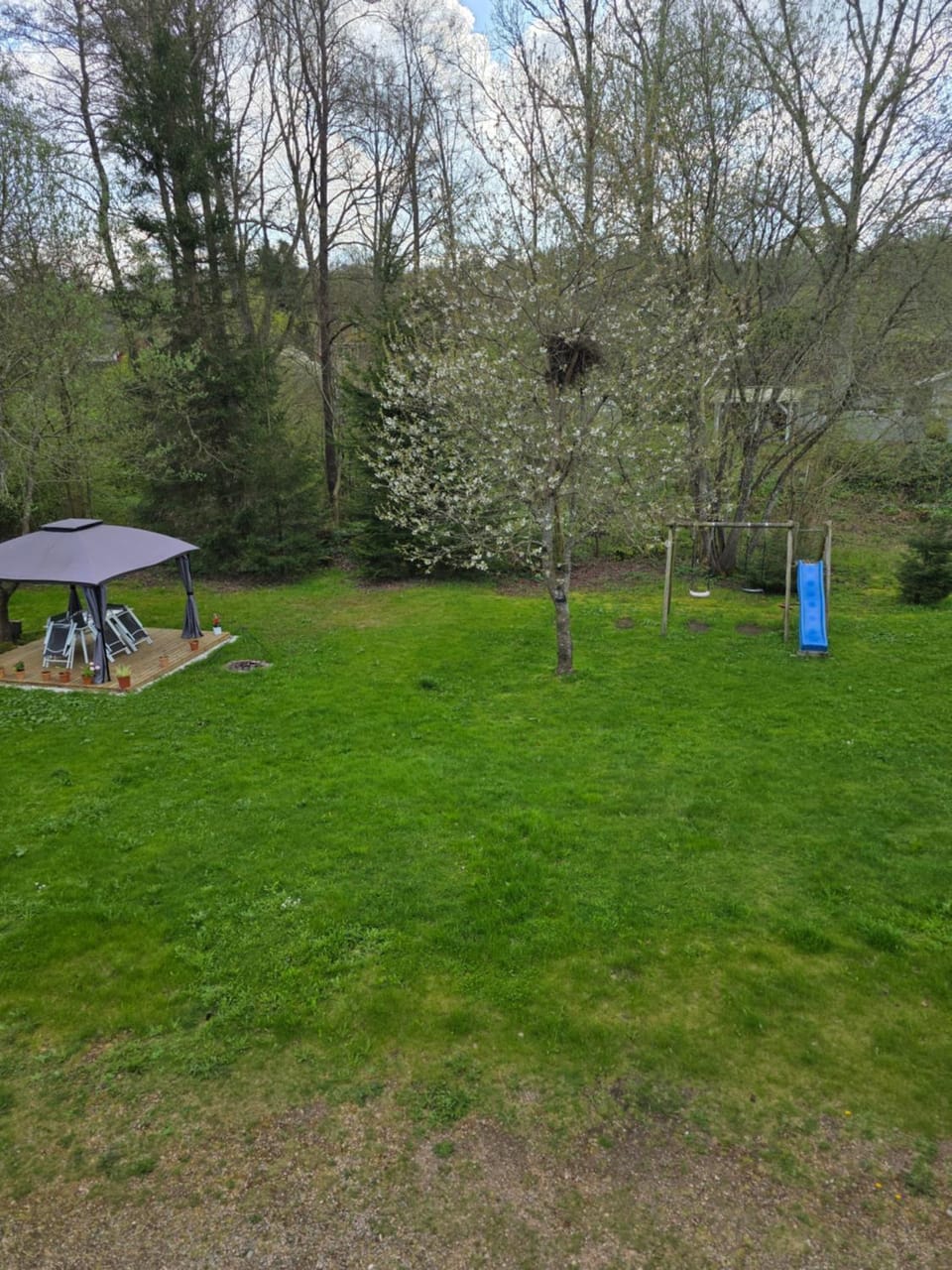 Spring, Day, Natural landscape, Garden, Garden view