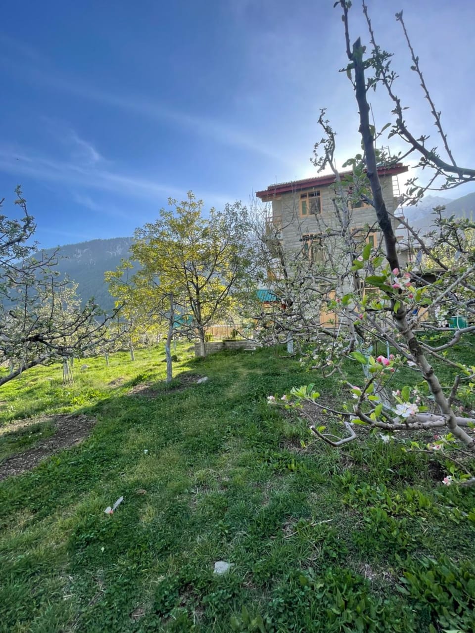 Heavens retreat Hotel in Himachal Pradesh