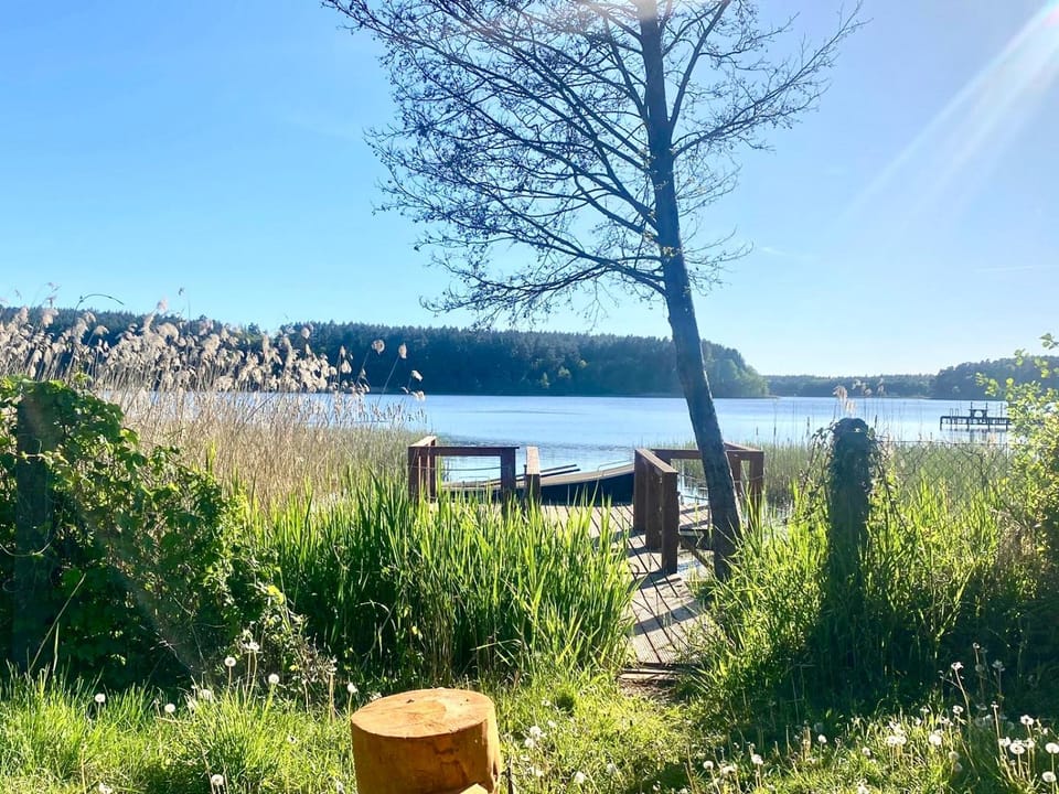 Lake view