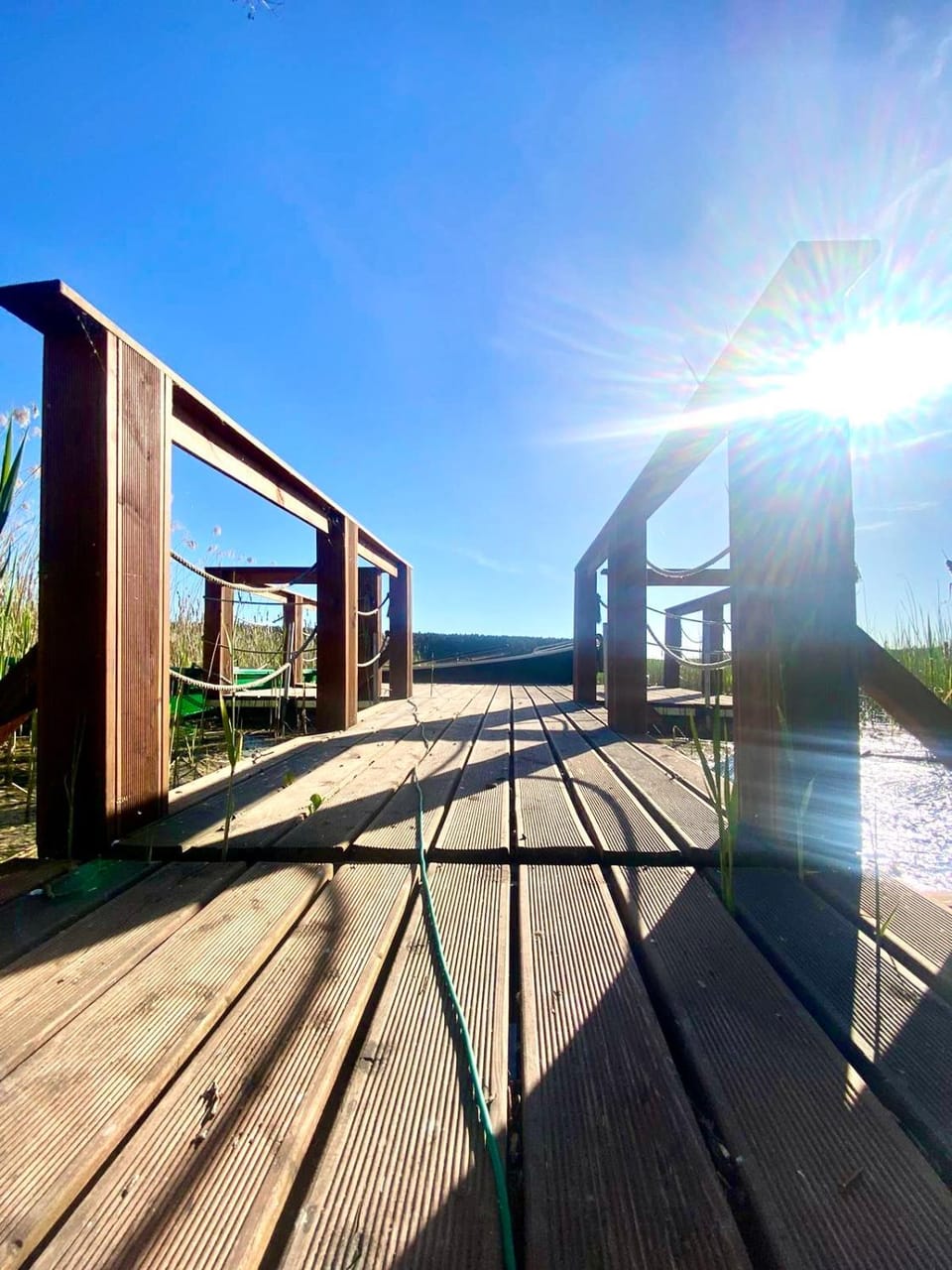 Lake view