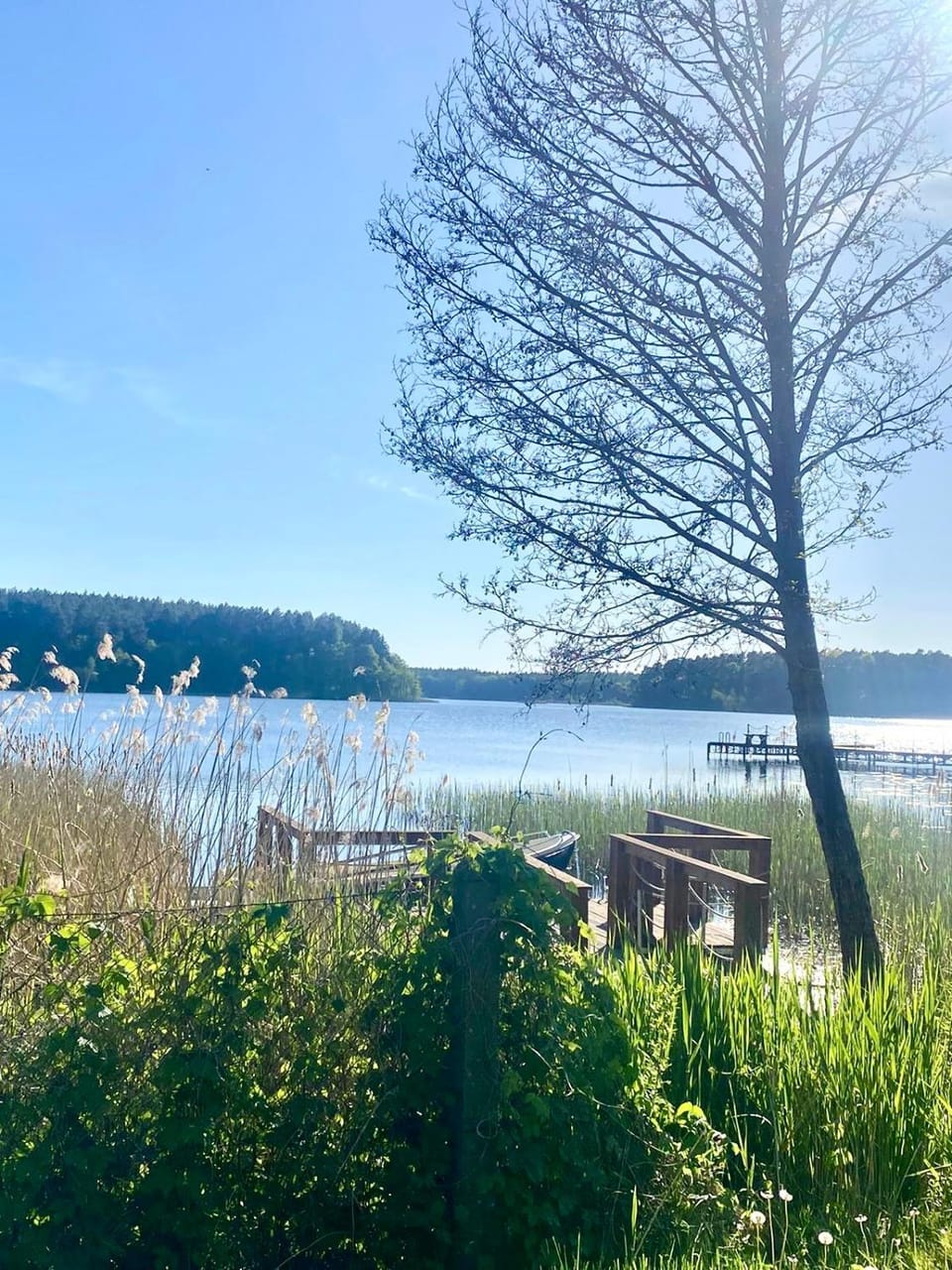 Lake view