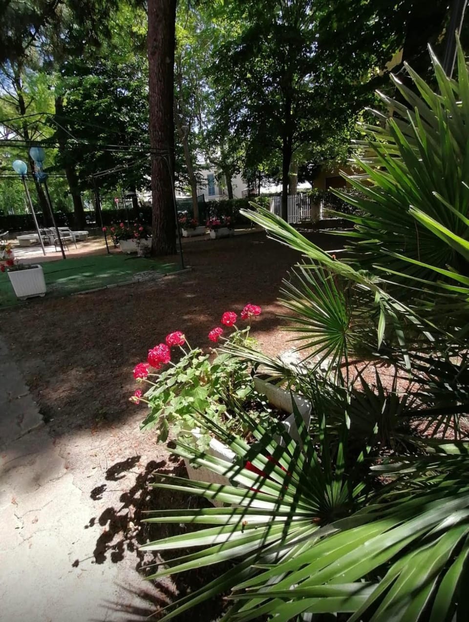 LUDO Holiday House Hotel in Riccione