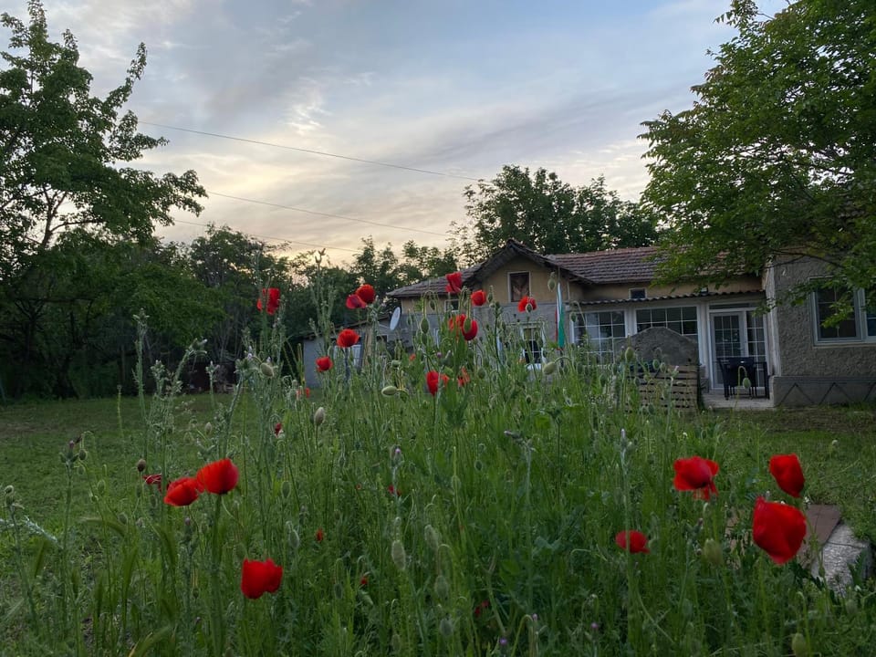 Spring, Garden view