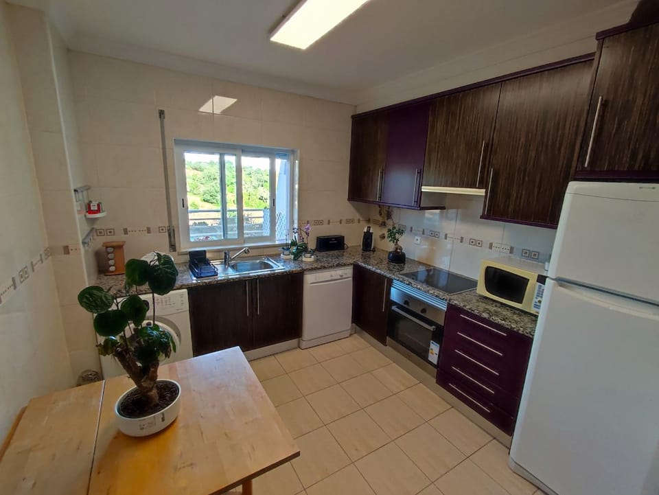 Kitchen or kitchenette, dishwasher