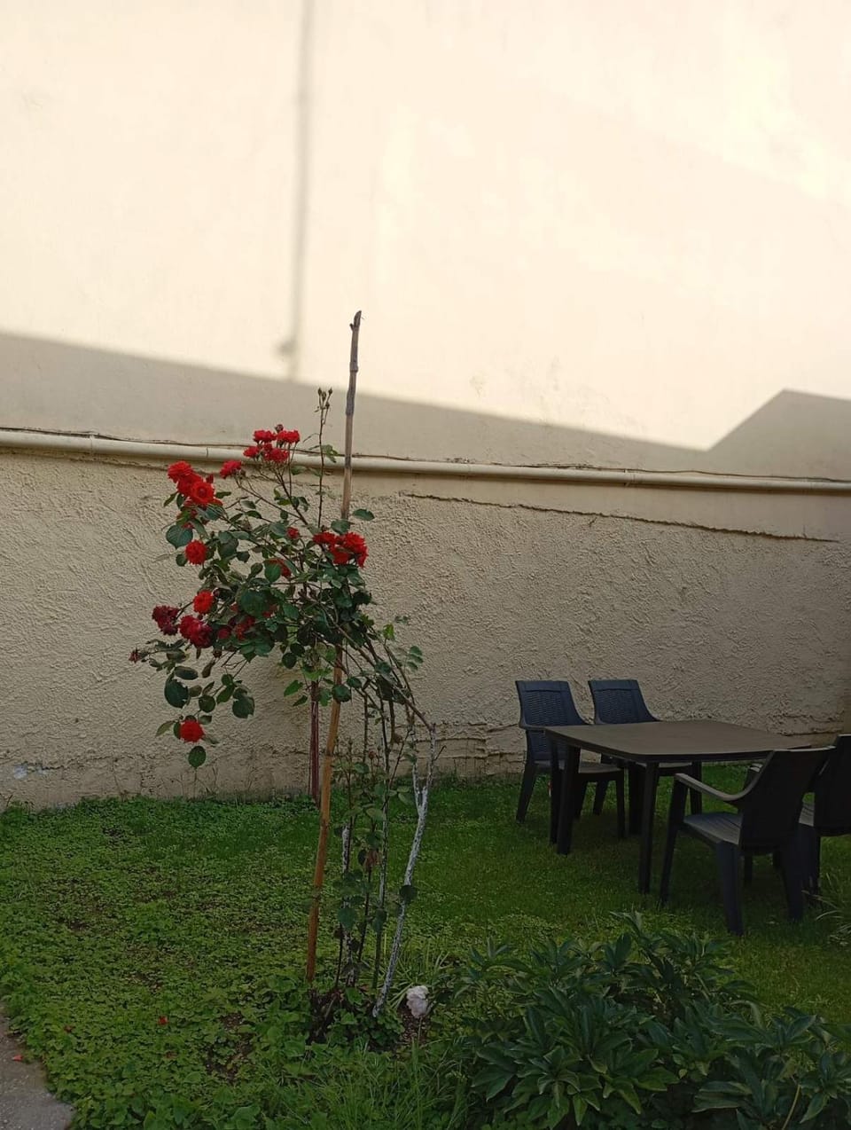 House & Garden House in Kavala