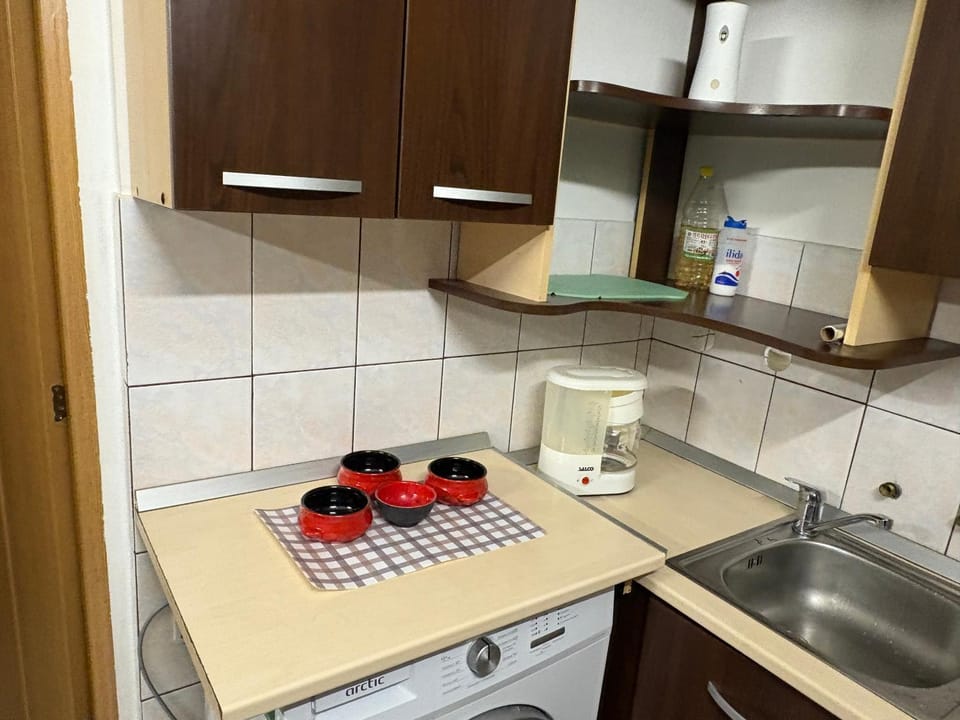 Casa Verde Apartment in Brasov