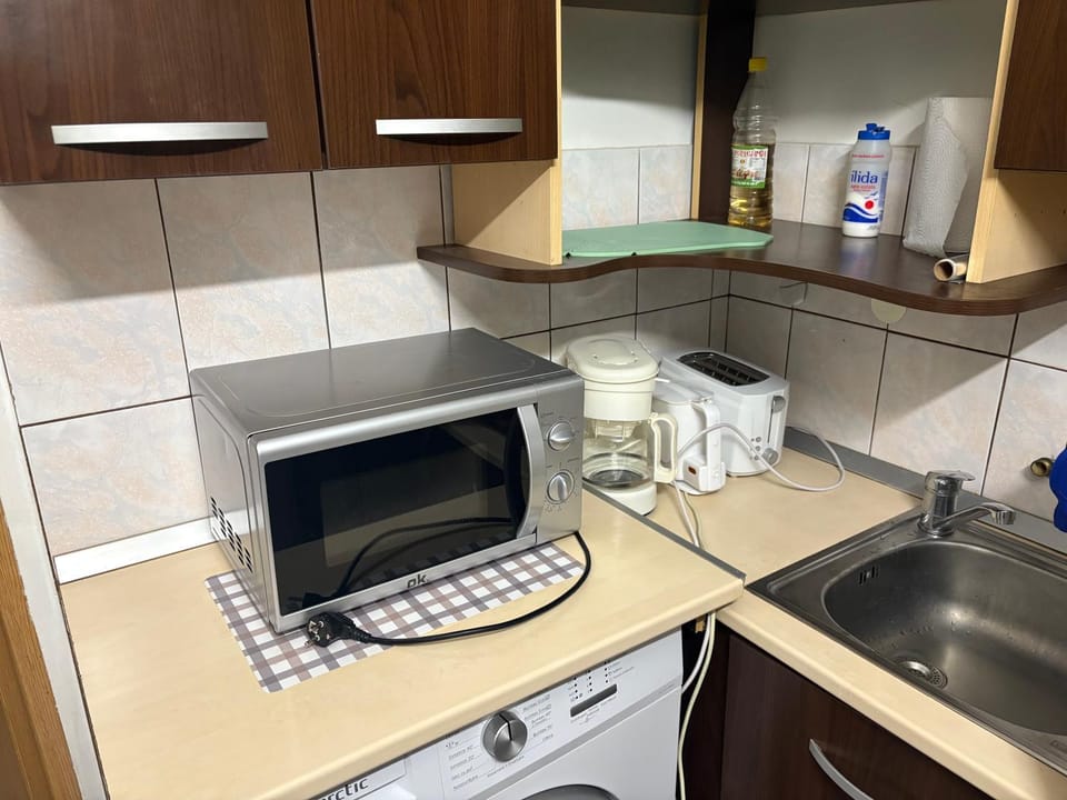 Casa Verde Apartment in Brasov