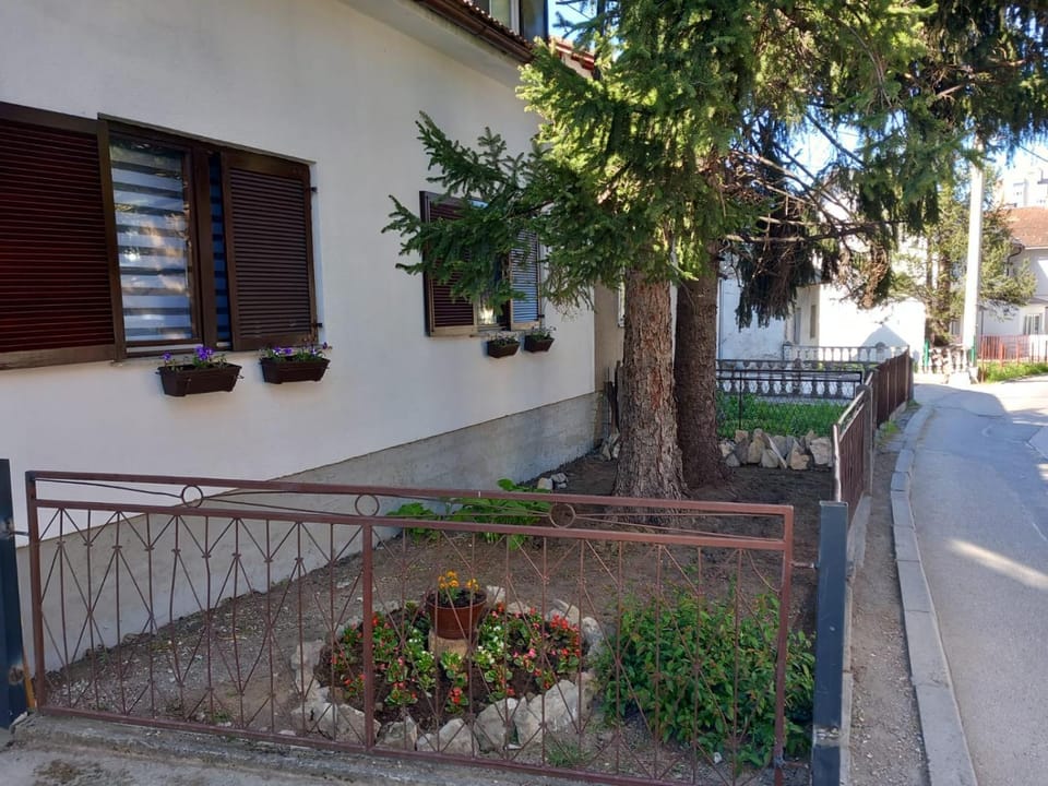 Property building, Neighbourhood, Garden, Garden view, Street view