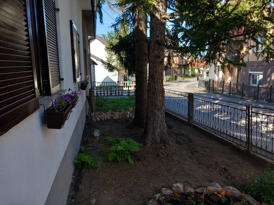 Day, Garden, Garden view, Street view