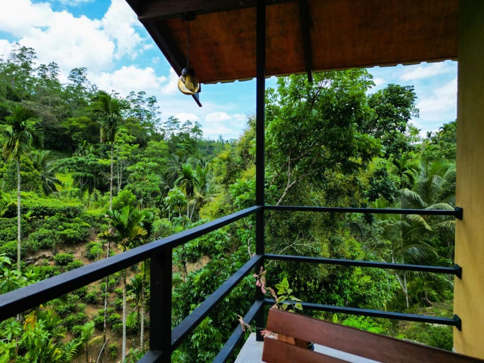 Property building, Balcony/Terrace