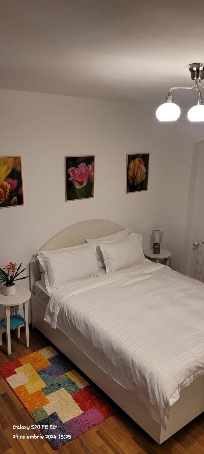 JOHN RESIDENCE BRAȘOV Old Town Apartments with Mountain View and Parking Apartment in Brasov