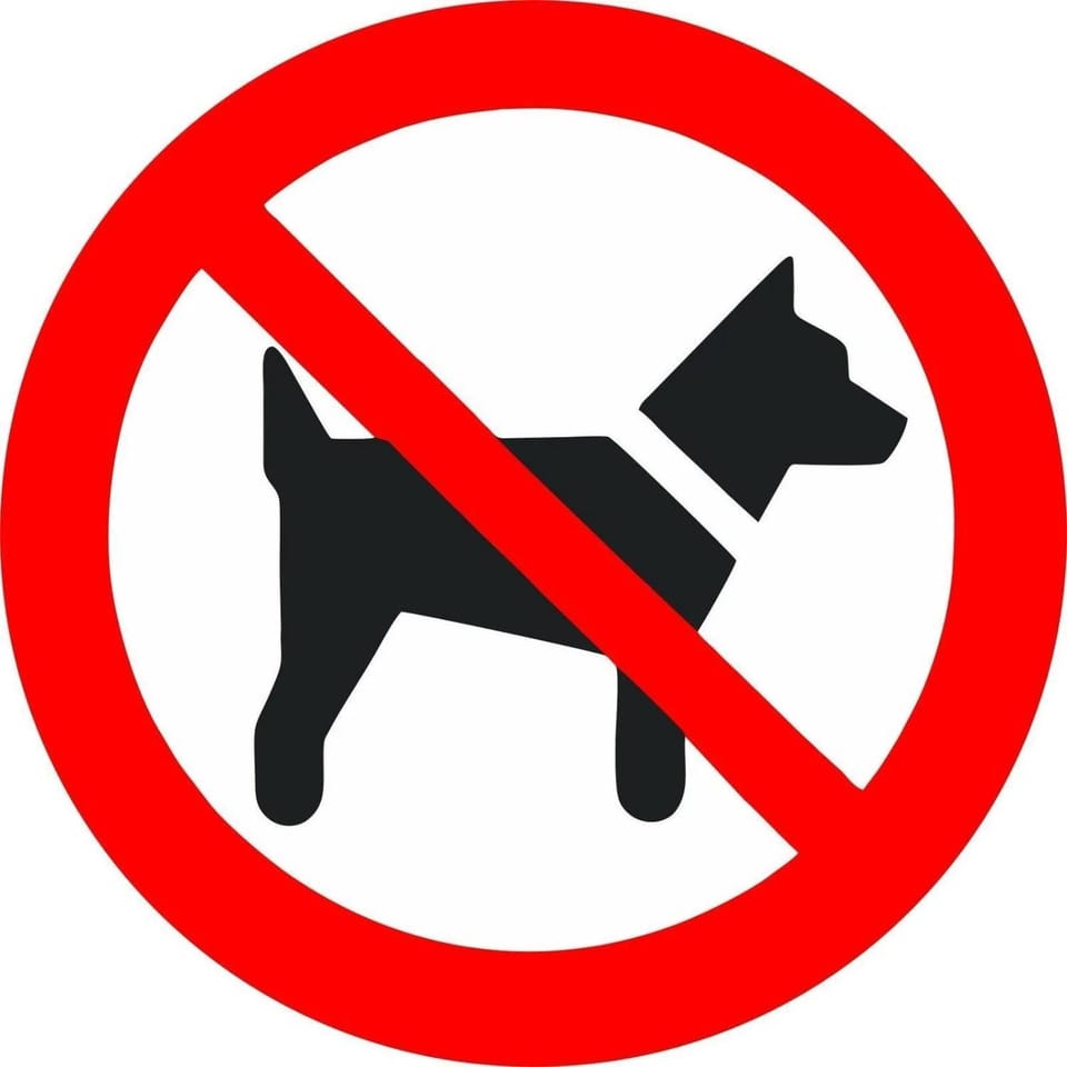 Animals, Animals, Pets, Pets