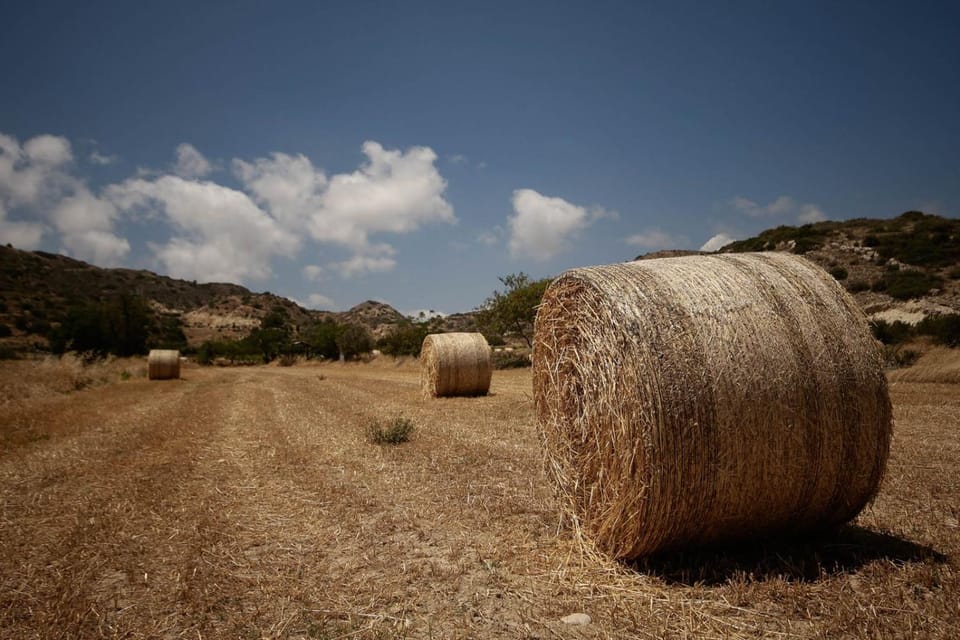 Vina Oliva Hotel Hotel in Pissouri
