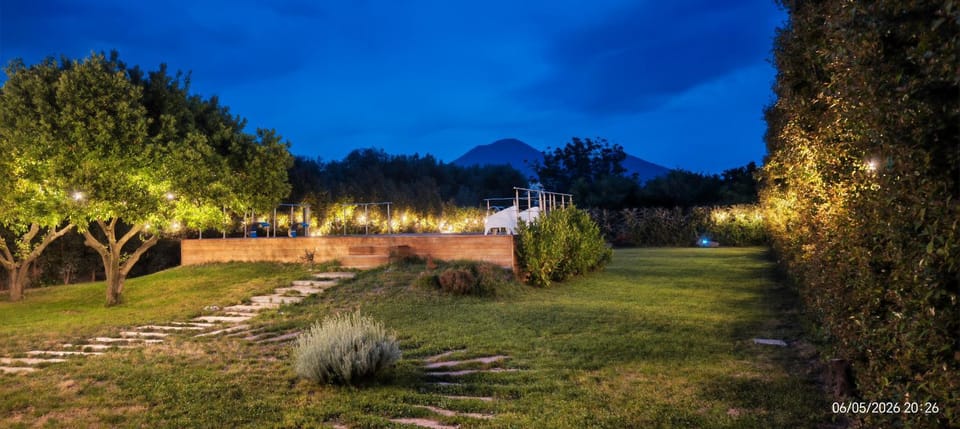 Night, Garden view