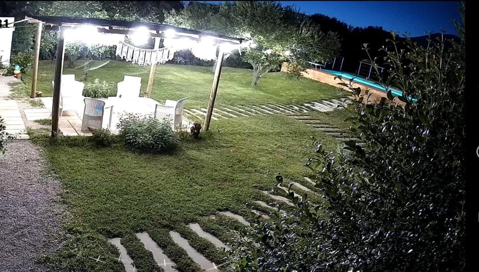 Night, Garden, Garden view, Pool view, Swimming pool