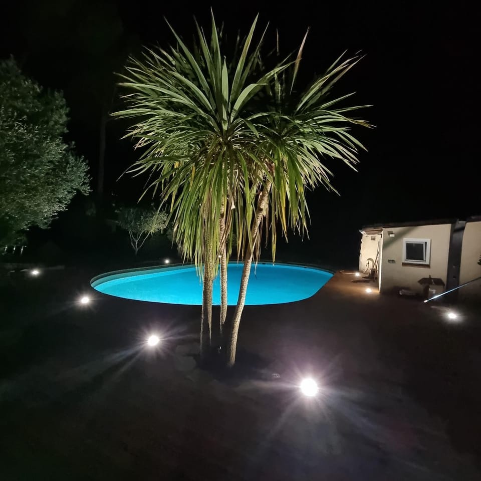 Night, Garden, Garden view, Pool view, Swimming pool