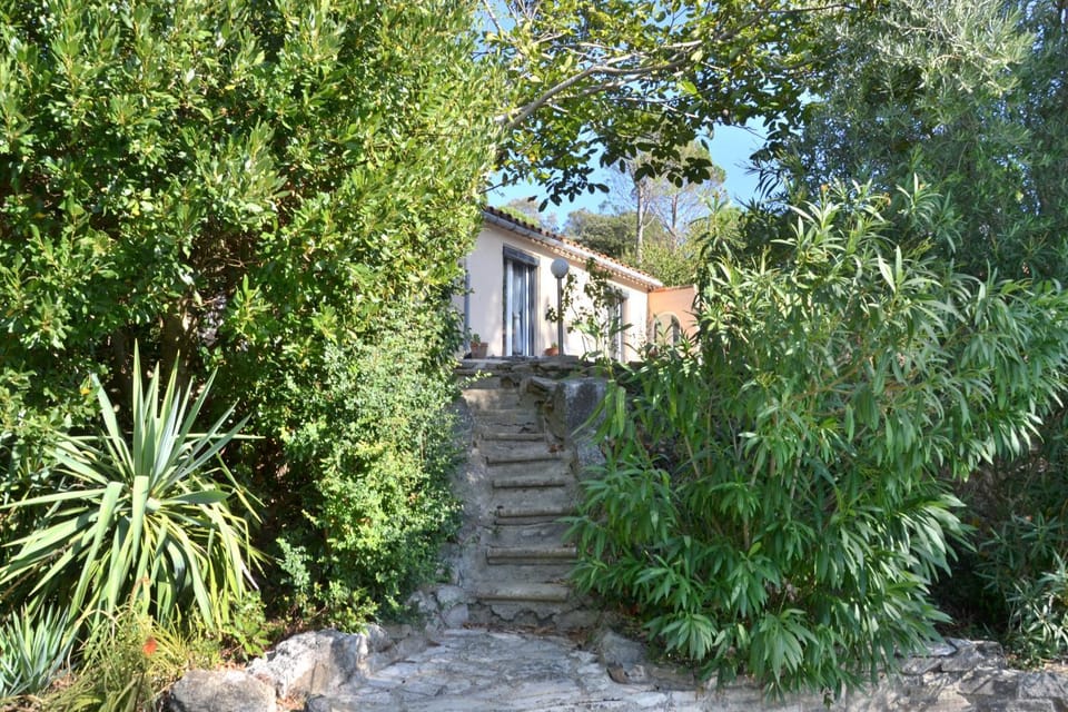 Property building, Garden, Garden, Garden view