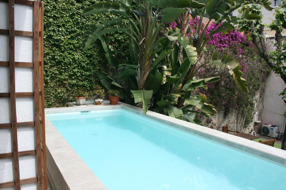 Day, Pool view, Swimming pool