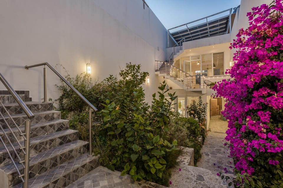 Patio, Garden, Garden view, Inner courtyard view
