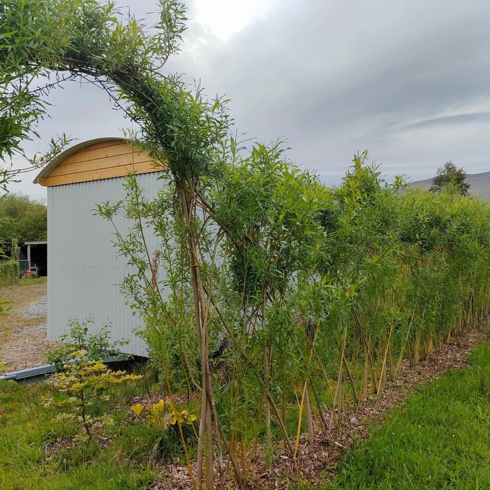 Dingle Way Glamping DANÚ Annascaul Campground/ 
RV Resort in County Kerry