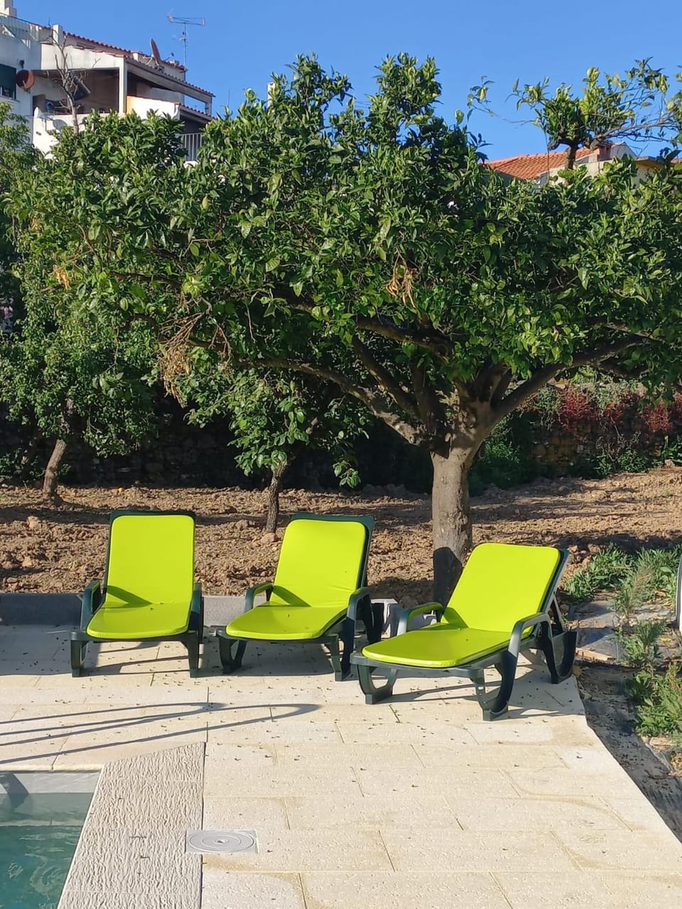Garden, Swimming pool