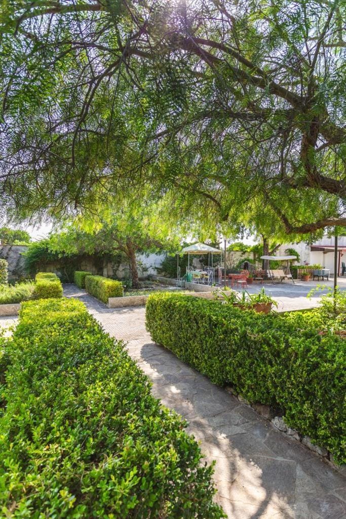 Garden