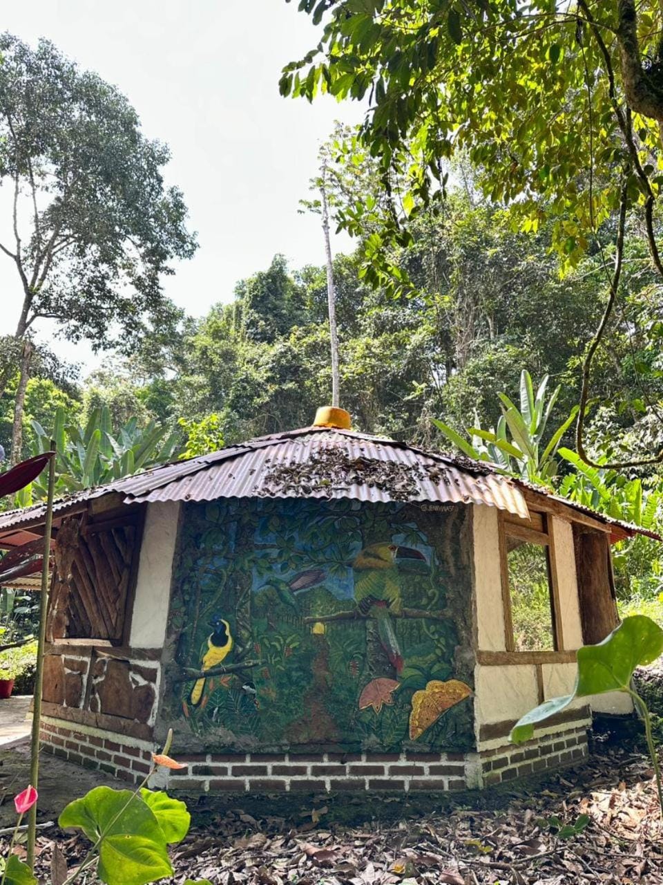 Property building, Natural landscape, Garden view