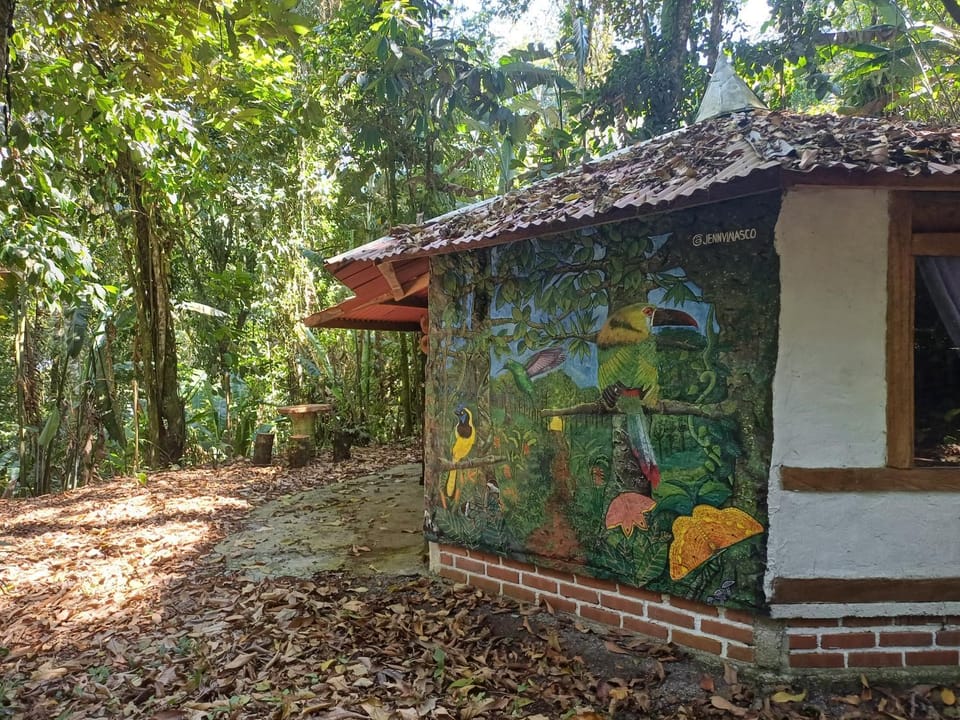 Property building, Garden, Garden view