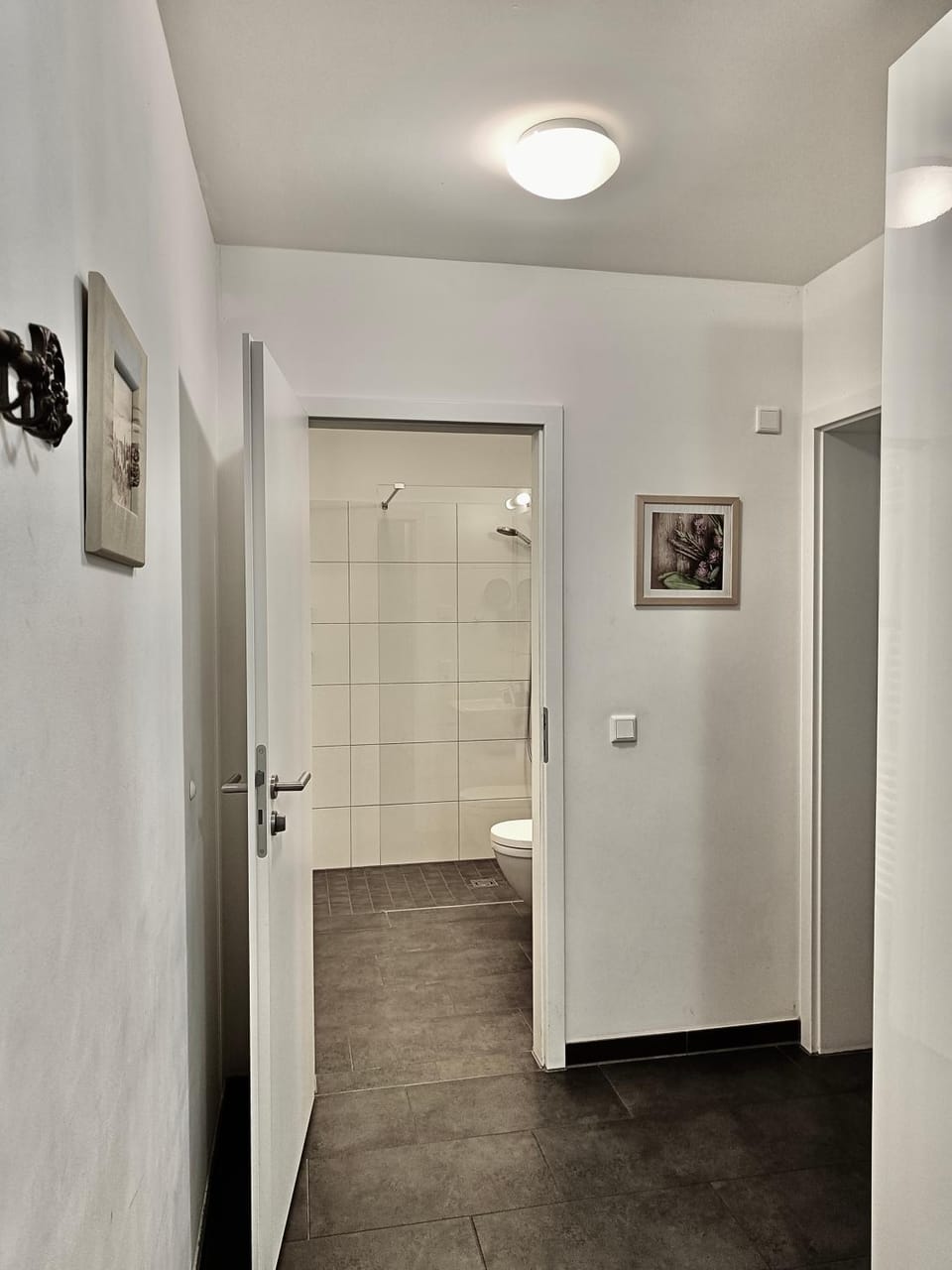 FeWo am Zwinger Apartment in Dresden