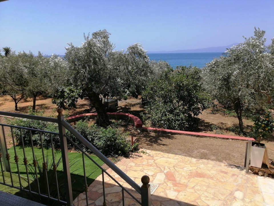ΚΤΗΜΑ ΠΑΥΛΟΜΠΕΗ OLIVE & SEA Apartment in Messenia