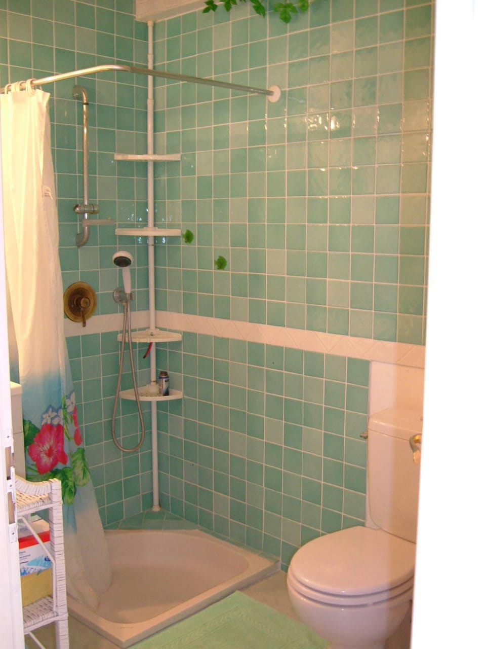 Shower, Toilet, Bathroom