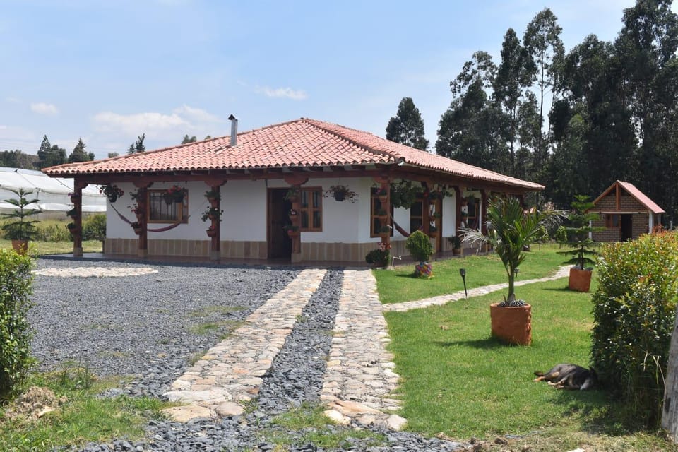 Natural landscape, Garden view