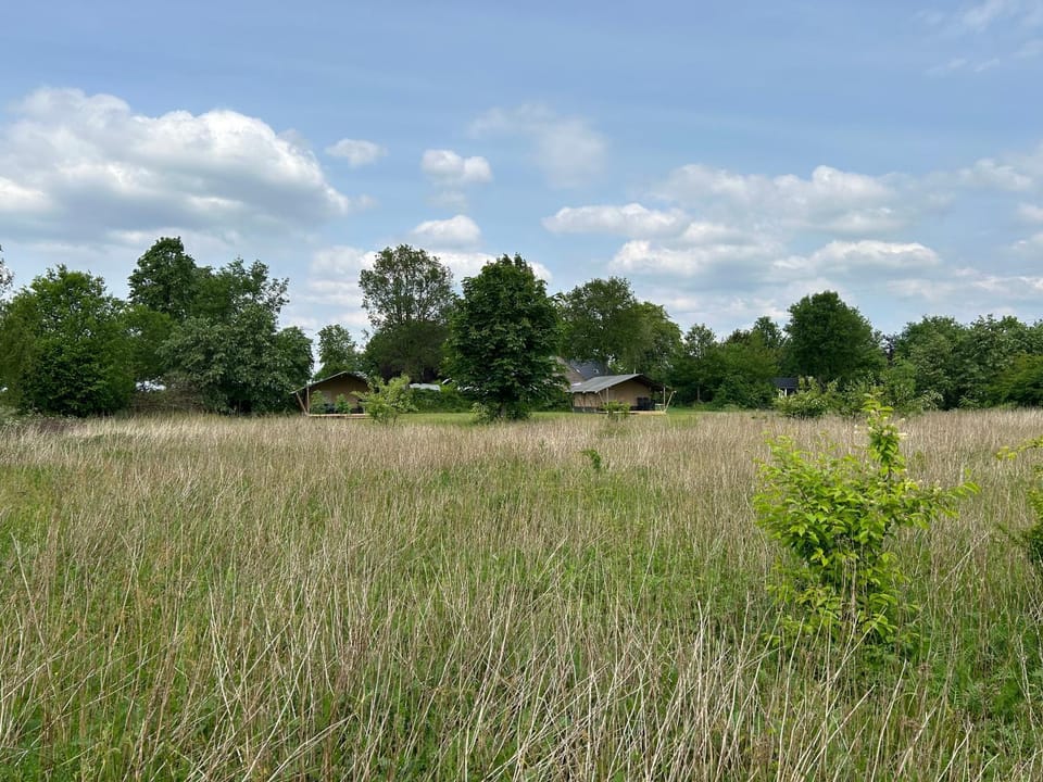 Safaritent voor 6 personen Luxury tent in Drenthe (province)