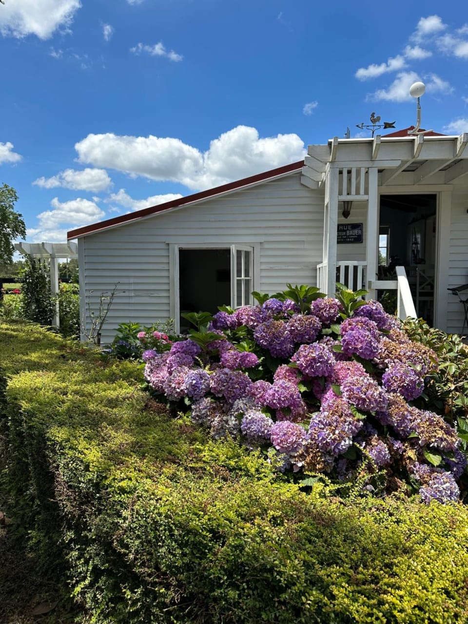 Property building, Garden, Garden view