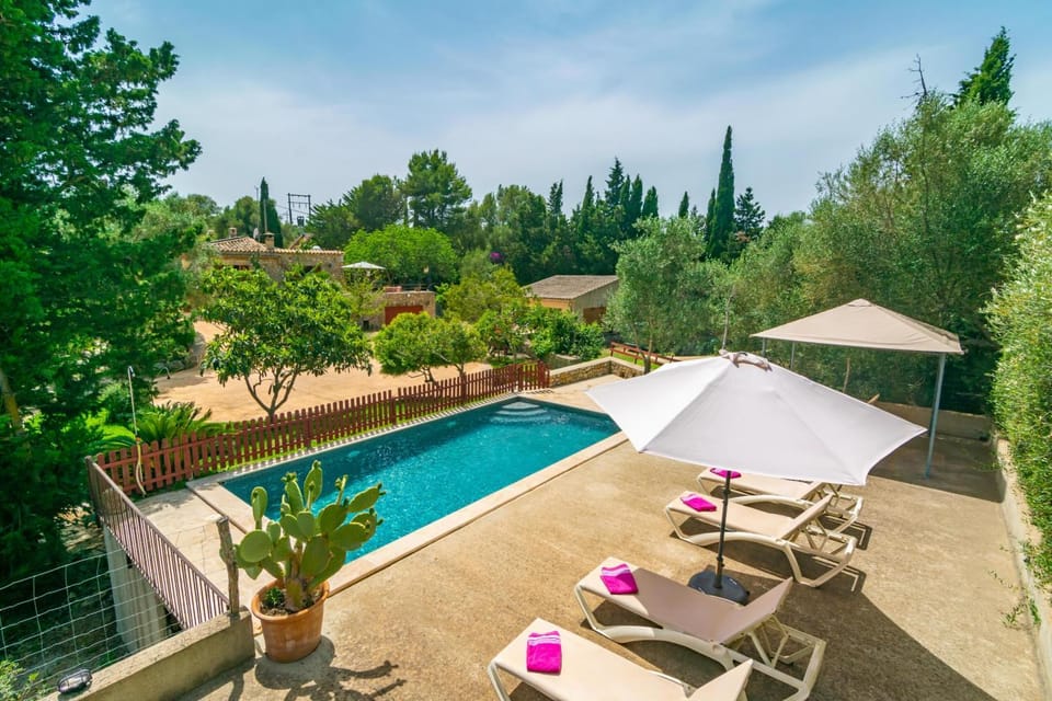 Other, Pool view, Swimming pool, sunbed