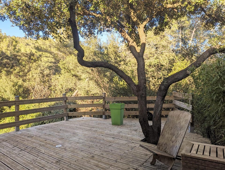 *Villa au coeur de la forêt* Villa in French Riviera