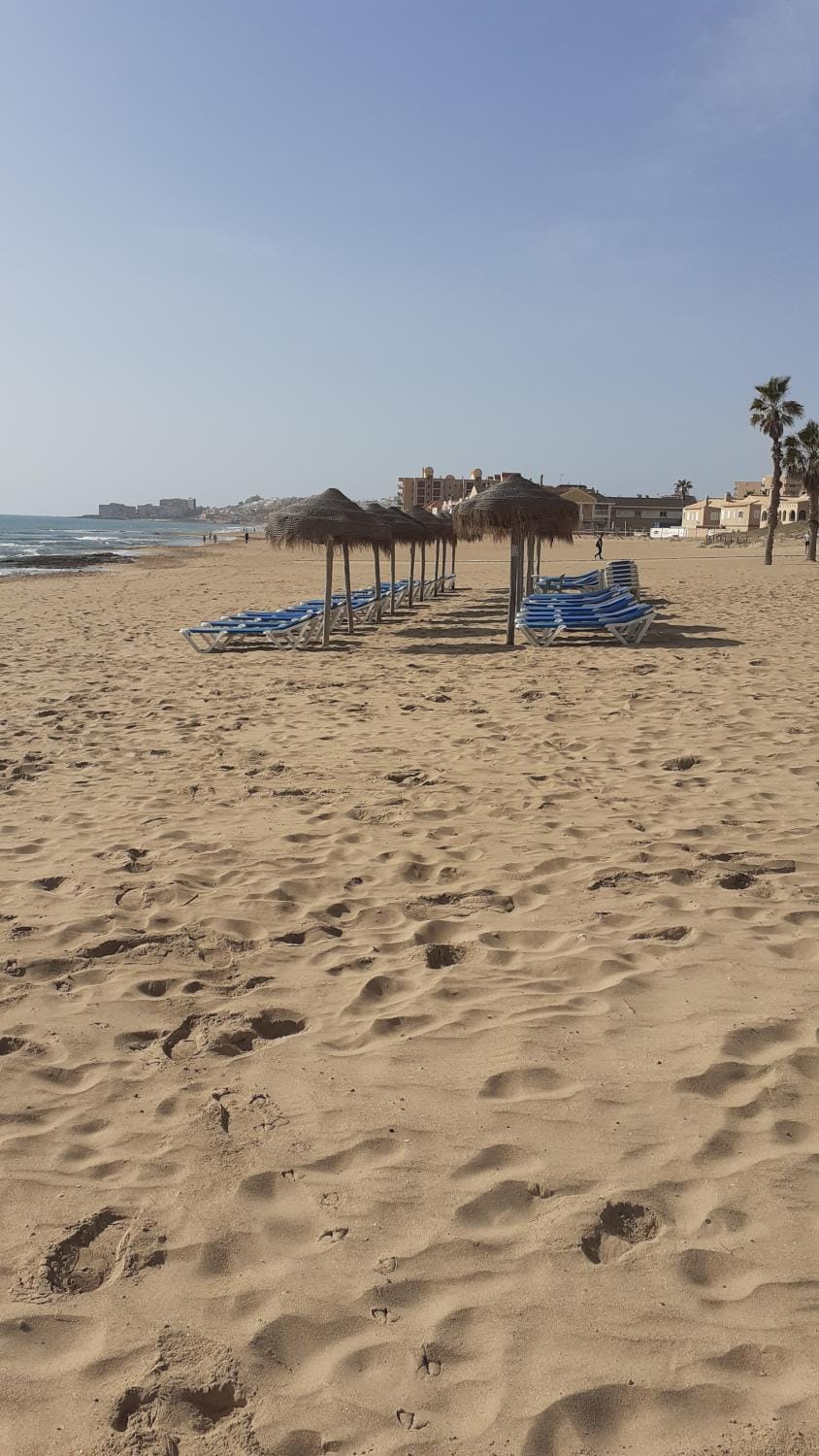 Apartment in La Mata Beach Apartment in Torre La Mata