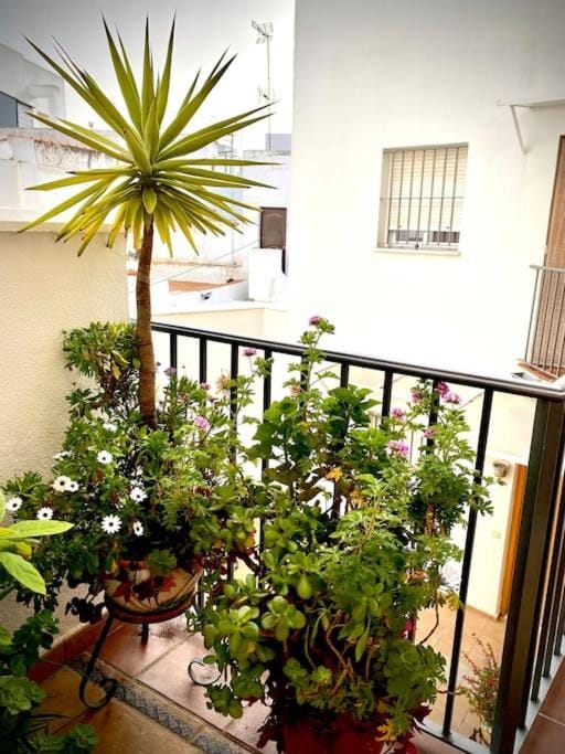 Balcony/Terrace, Balcony/Terrace