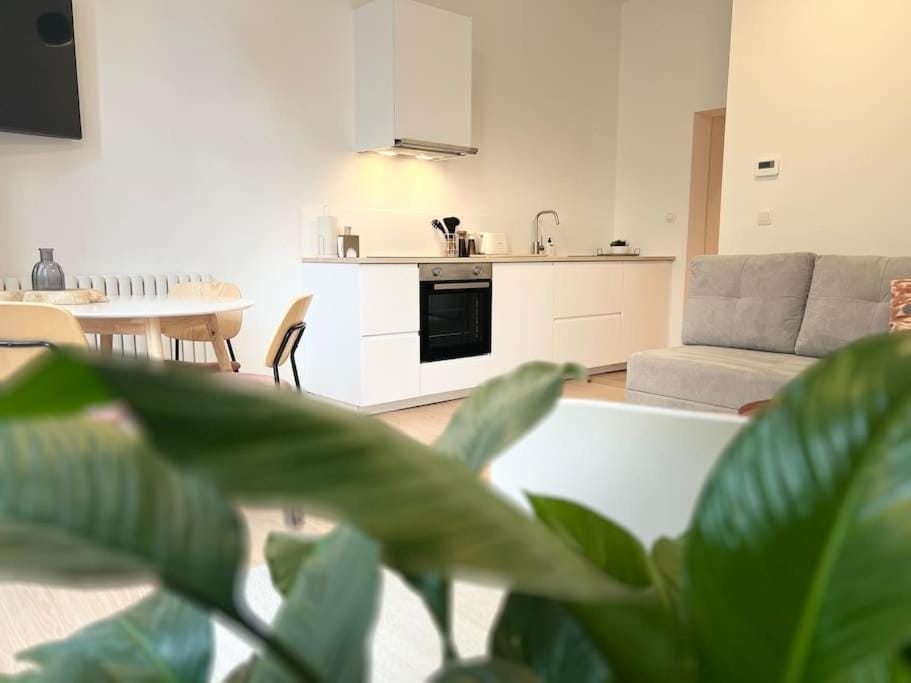 L'escapade chic - Cathédrale, Saint Lambert Apartment in Liège