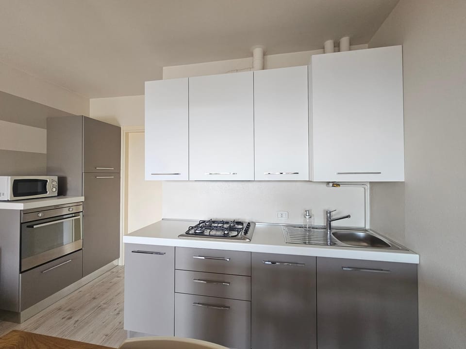 Kitchen or kitchenette, minibar, pet friendly, stove, toaster