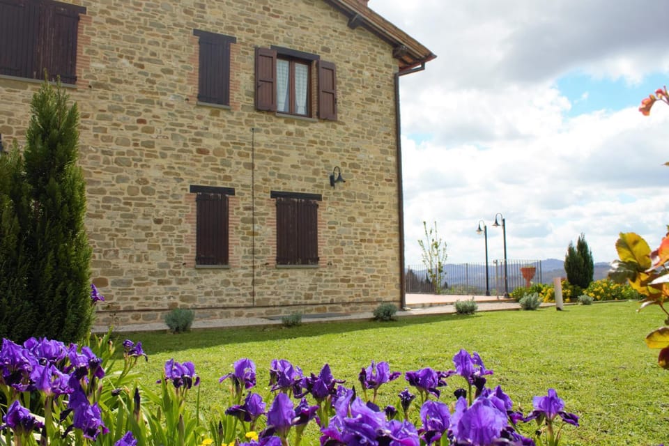 Property building, Garden, Garden view