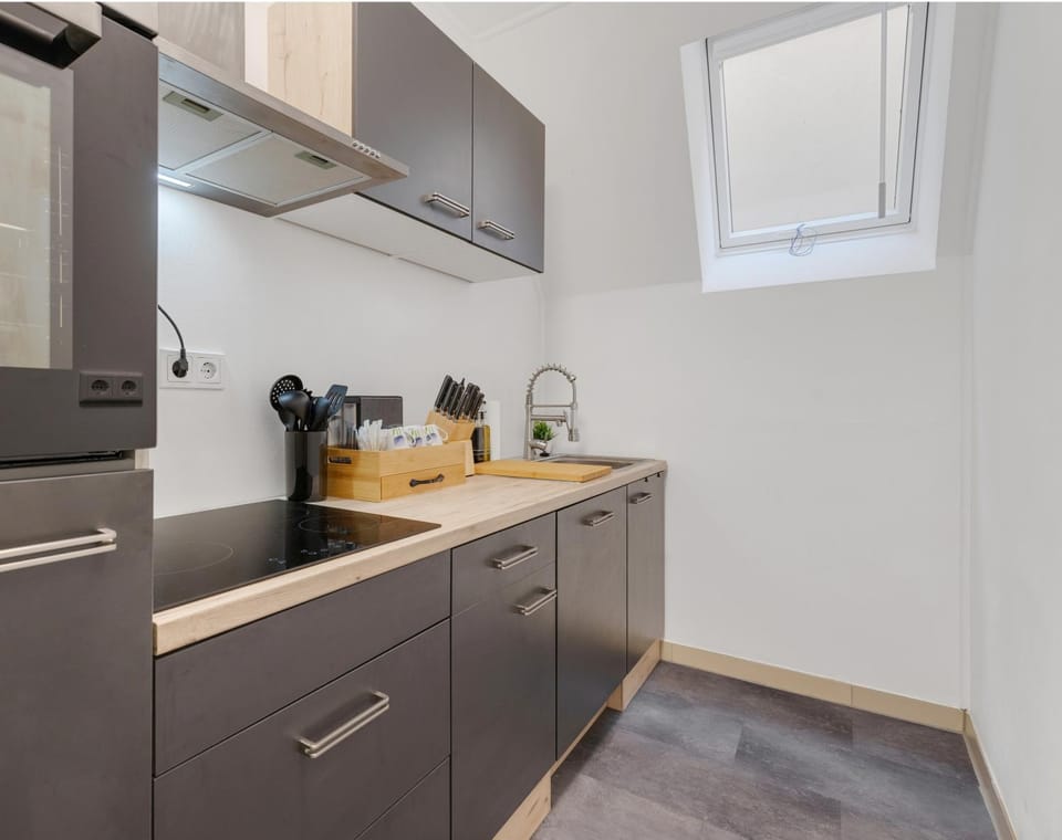 Coffee/tea facilities, Kitchen or kitchenette, minibar, pet friendly, stove, toaster